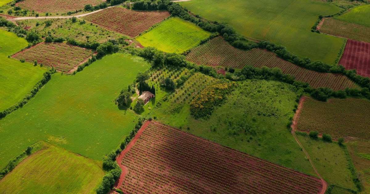 Polemik Tanah Wakaf: Kemenag Tegaskan Milik Allah, Tak Bisa Jadi Agunan Bank