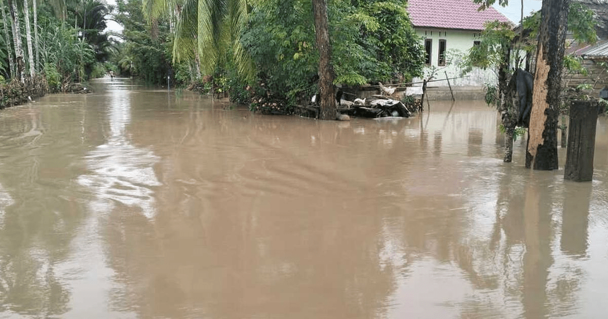 Banjir Meluas di Aceh: 20 Ribu Jiwa Mengungsi, Pemerintah Tetapkan Status Tanggap Darurat