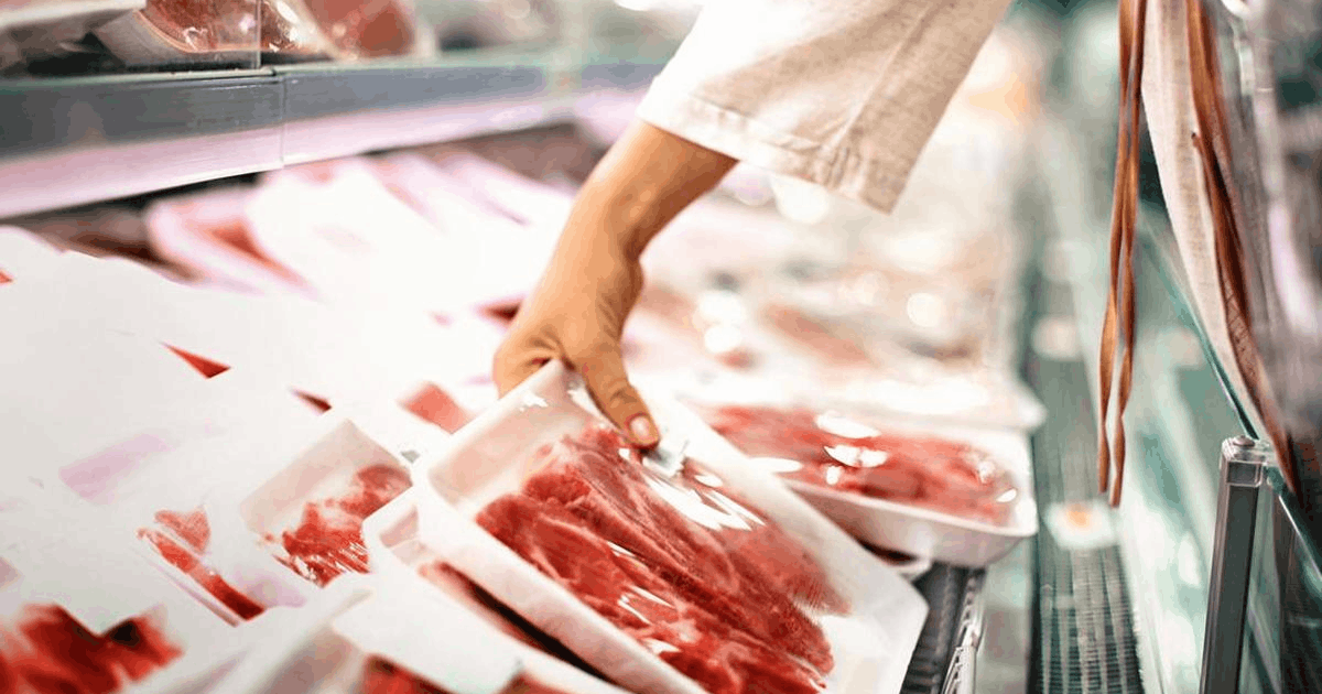 diet karnivora merusak ginjal