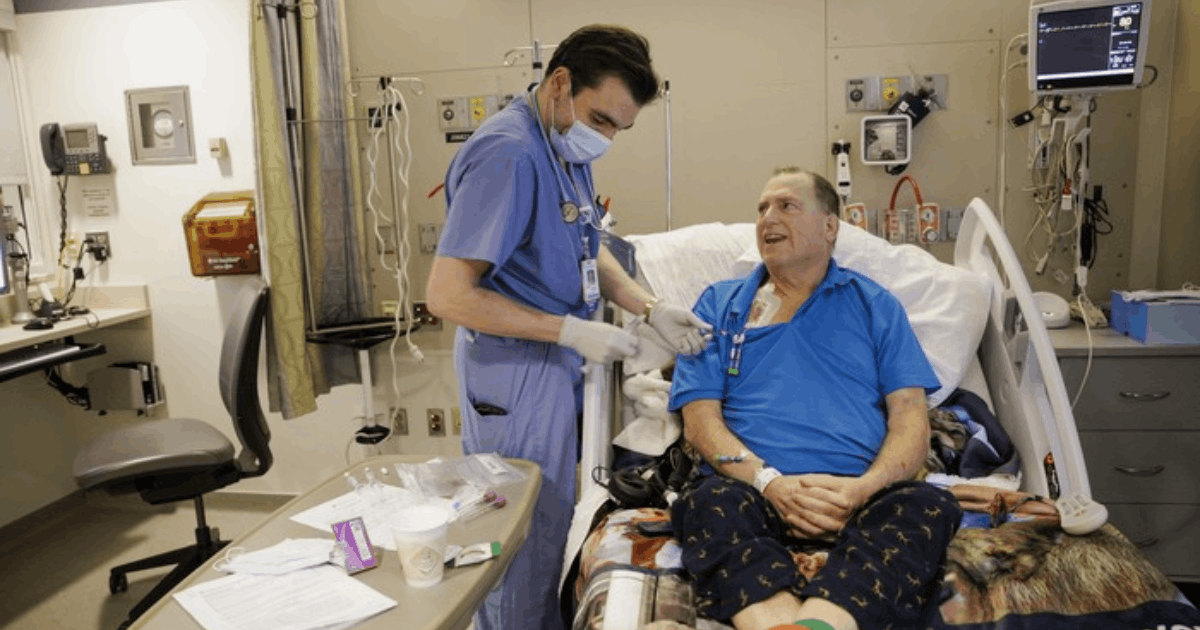 donor ginjal manusia