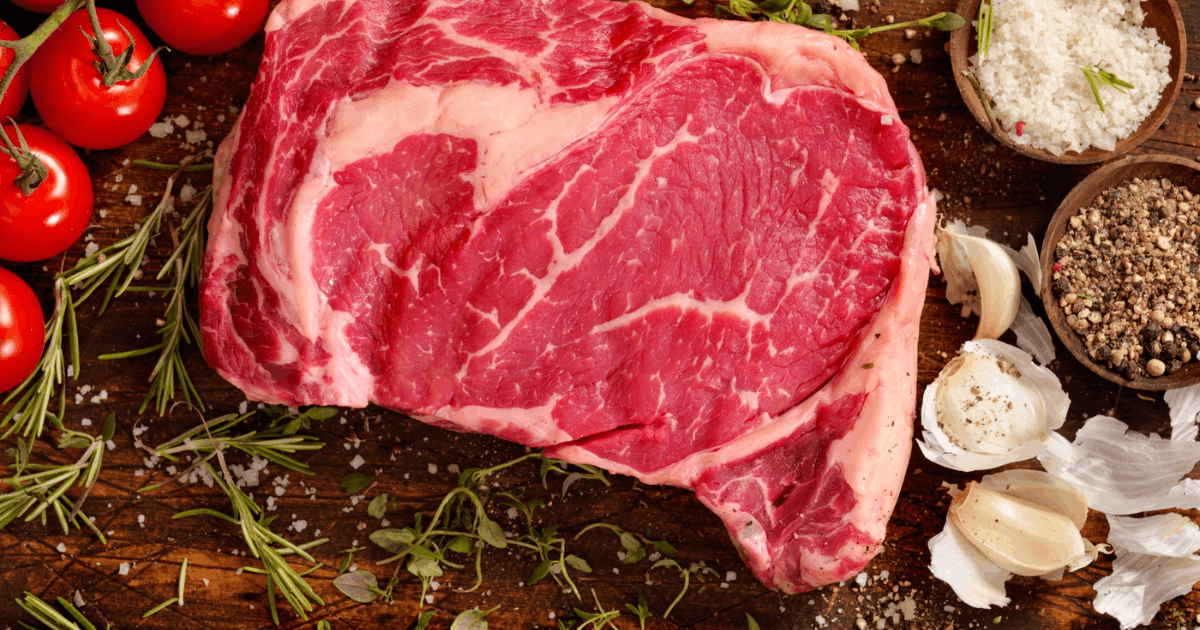 dampak diet karnivora