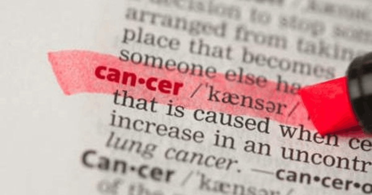 Makanan Pencegah Kanker: Menu Wajib di Piring Anda