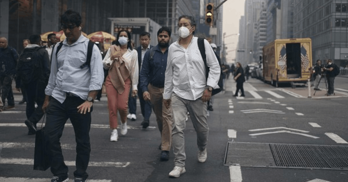 Lonjakan Kedua Infeksi Flu di Amerika Serikat: Bukan Akibat Subclade K!