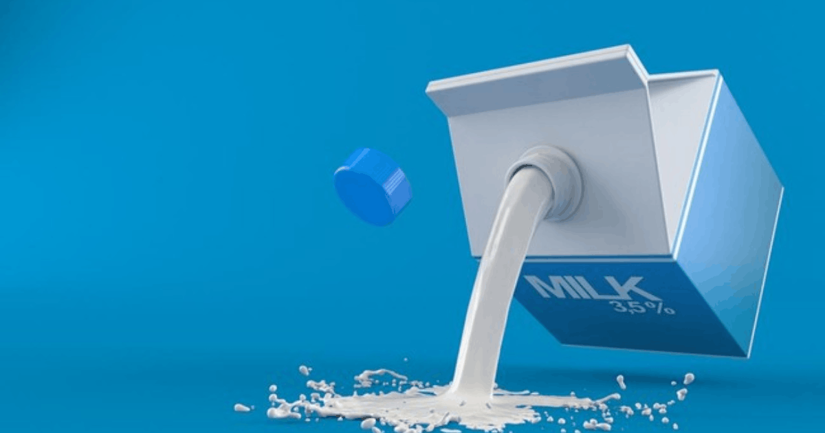 Ultrajaya Setop Susu Sekolah ke Pemasok MBG Melanggar