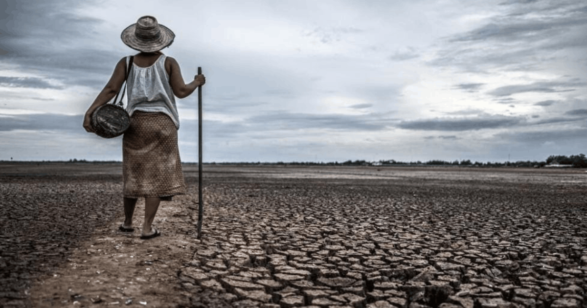 Risiko El Nino Godzilla Mengintai: Waspadai Ancaman Kesehatan Serius Ini