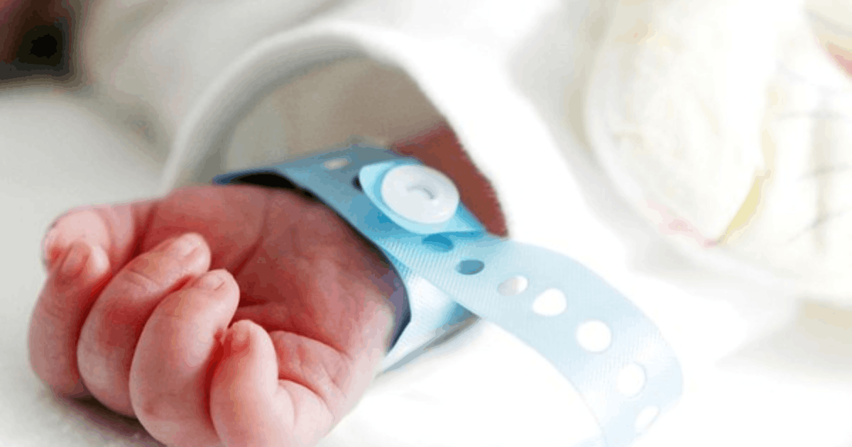 Bayi Baru Lahir Peserta JKN Otomatis Terbaru