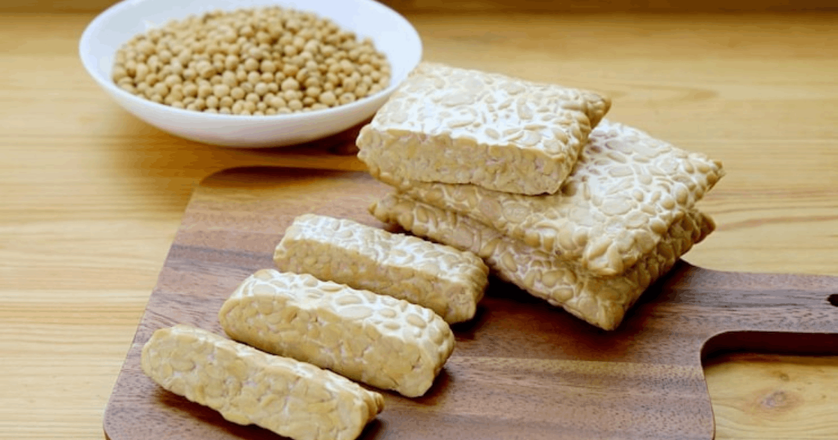 Manfaat Tempe bagi Otak: Riset Ungkap Tempe Jadi Superfood Penangkal Alzheimer