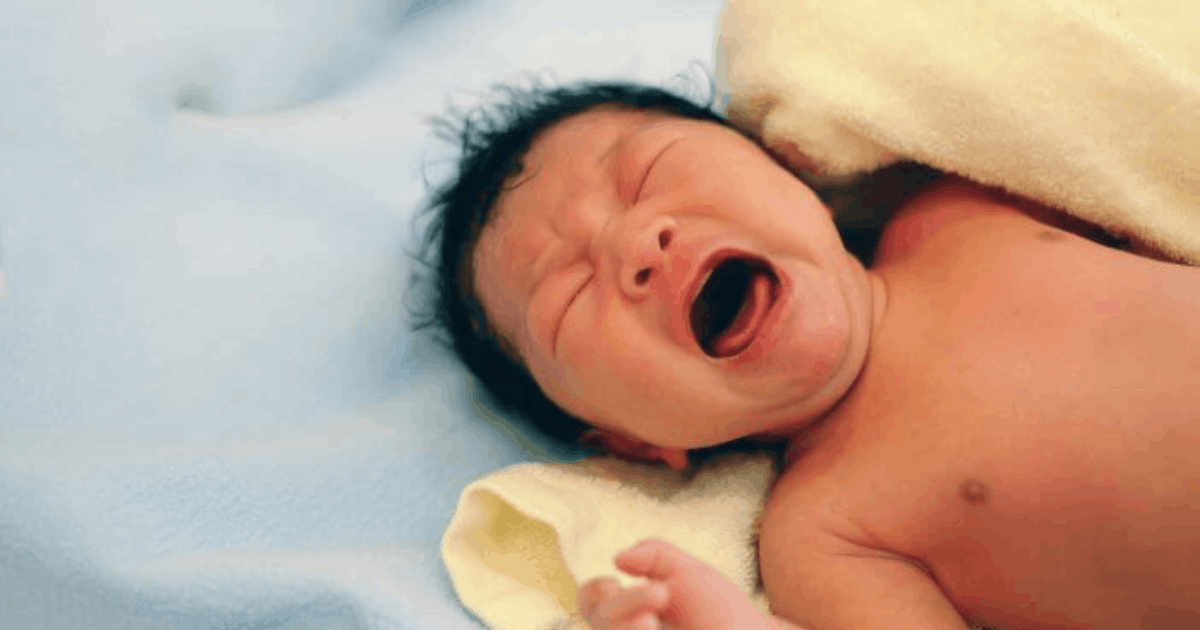 Respons IDAI Soal Viral Bayi Hipotermia: Bahaya Bayi Naik Gunung Bukan Main-Main!