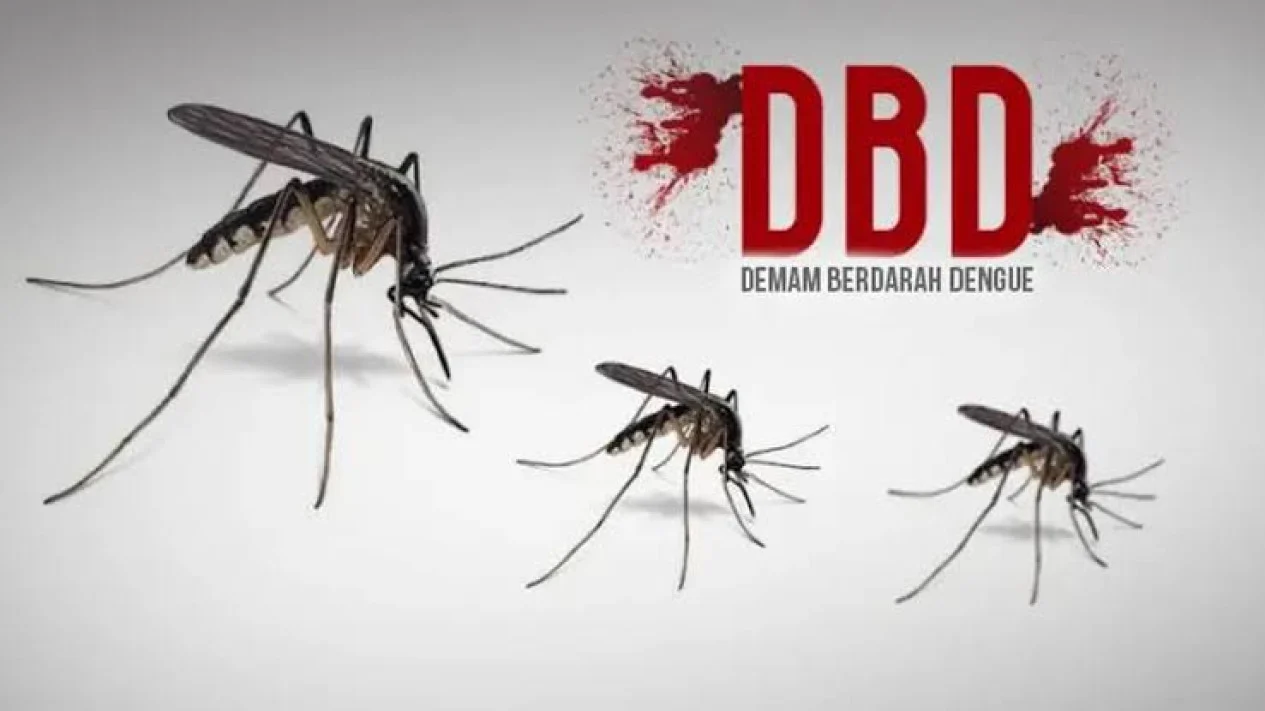 Data DBD di Indonesia Bikin Kaget, Lebih dari 2 Juta Rawat Inap dalam Setahun
